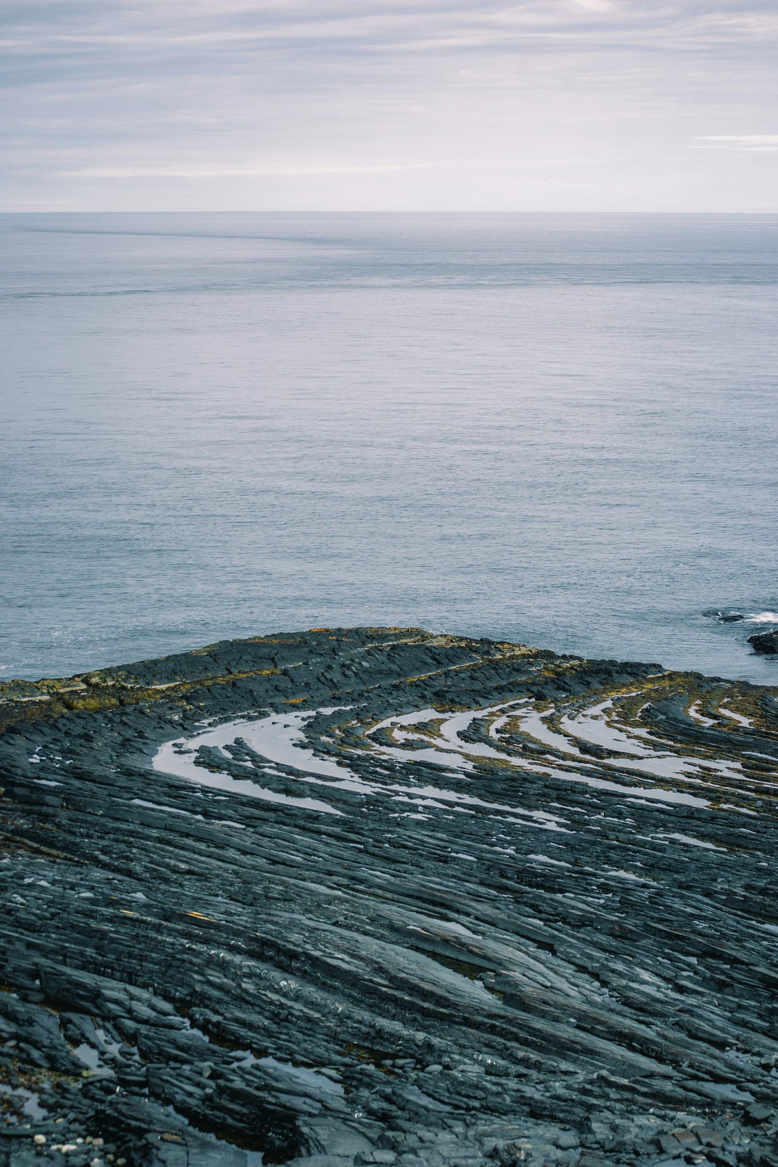 Lava field on the Reykjanes Peninsula in Iceland