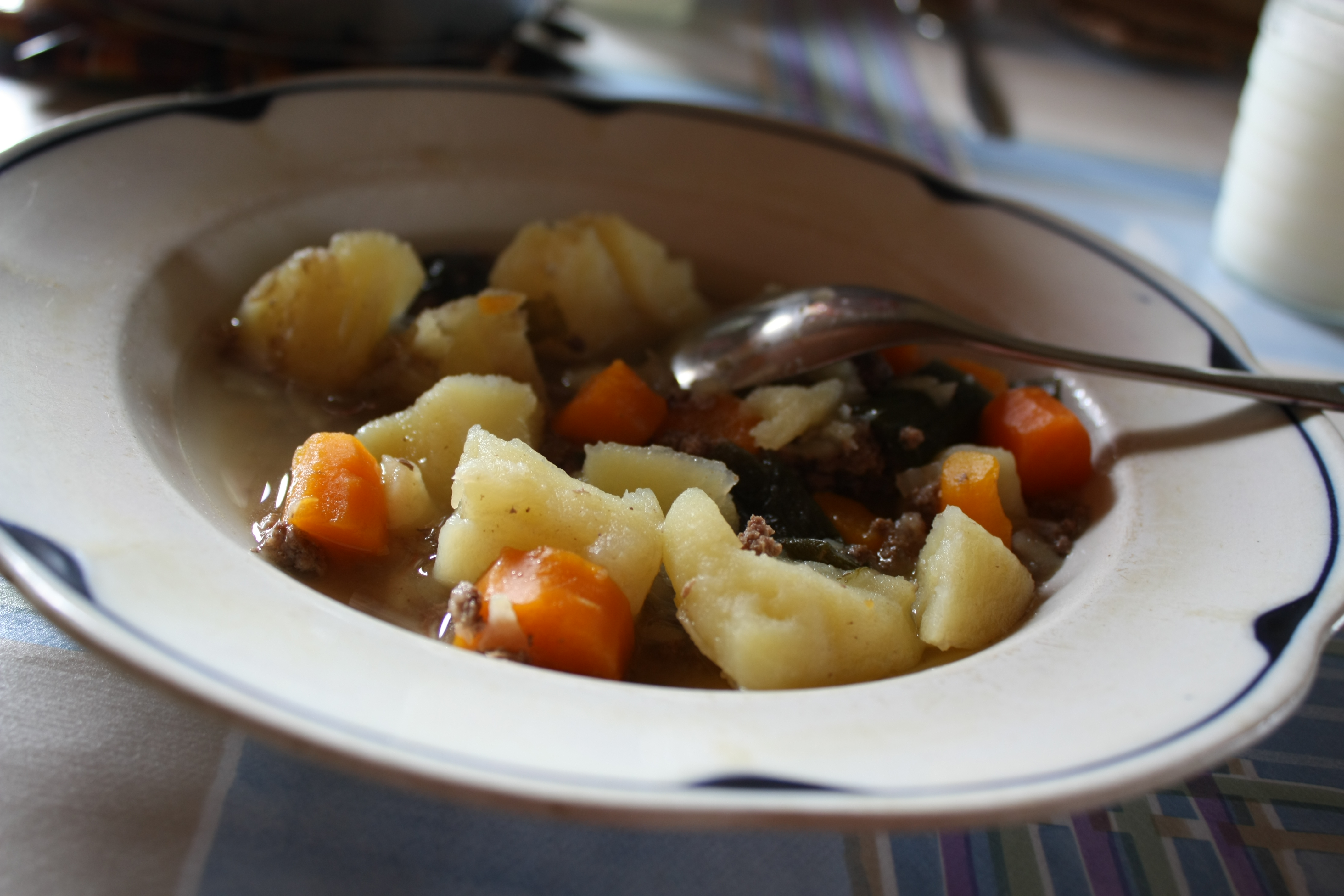 A bowl of Icelandic lamb soup with root vegetables