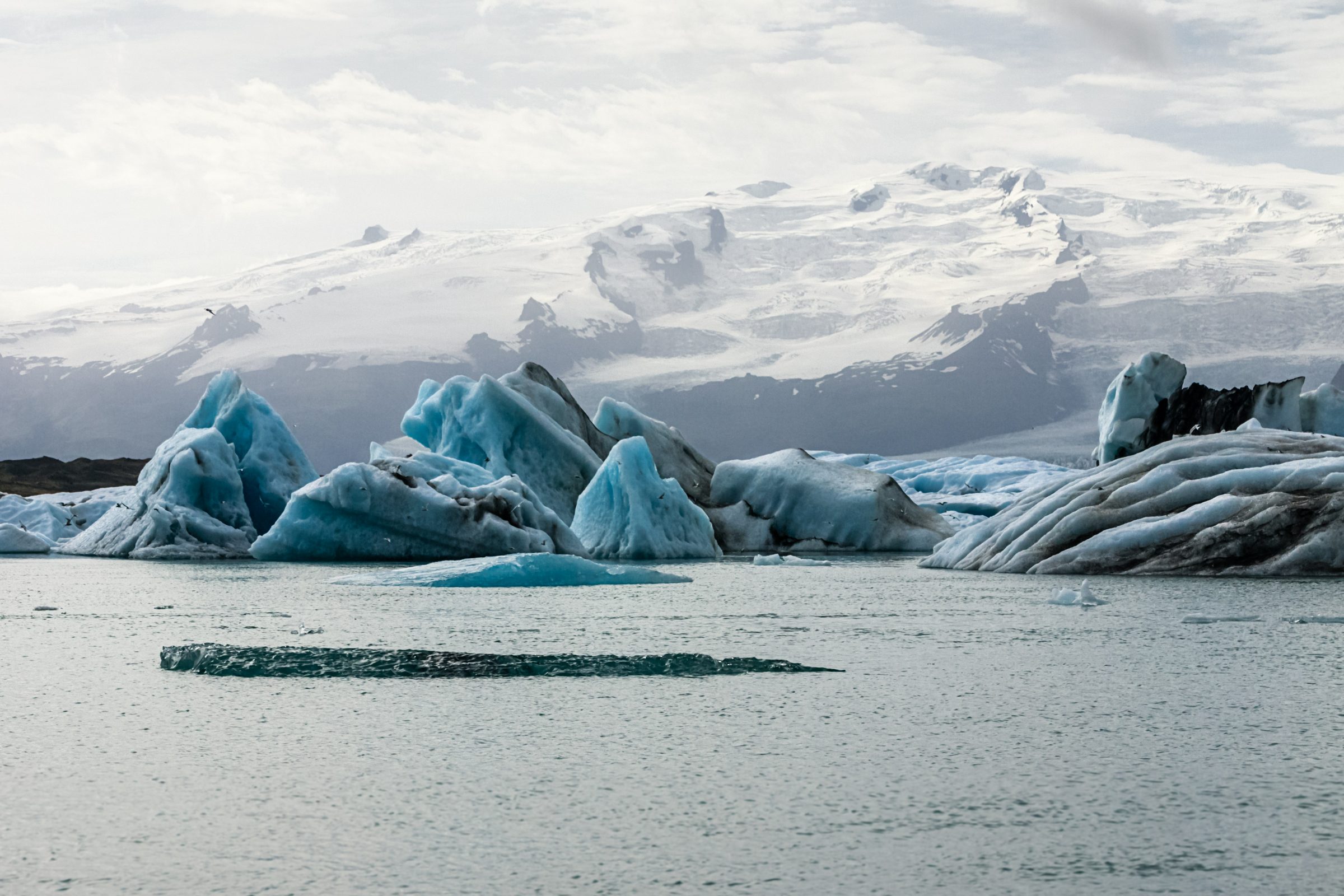 Jökulsárlón glacier lagoon with floating icebergs