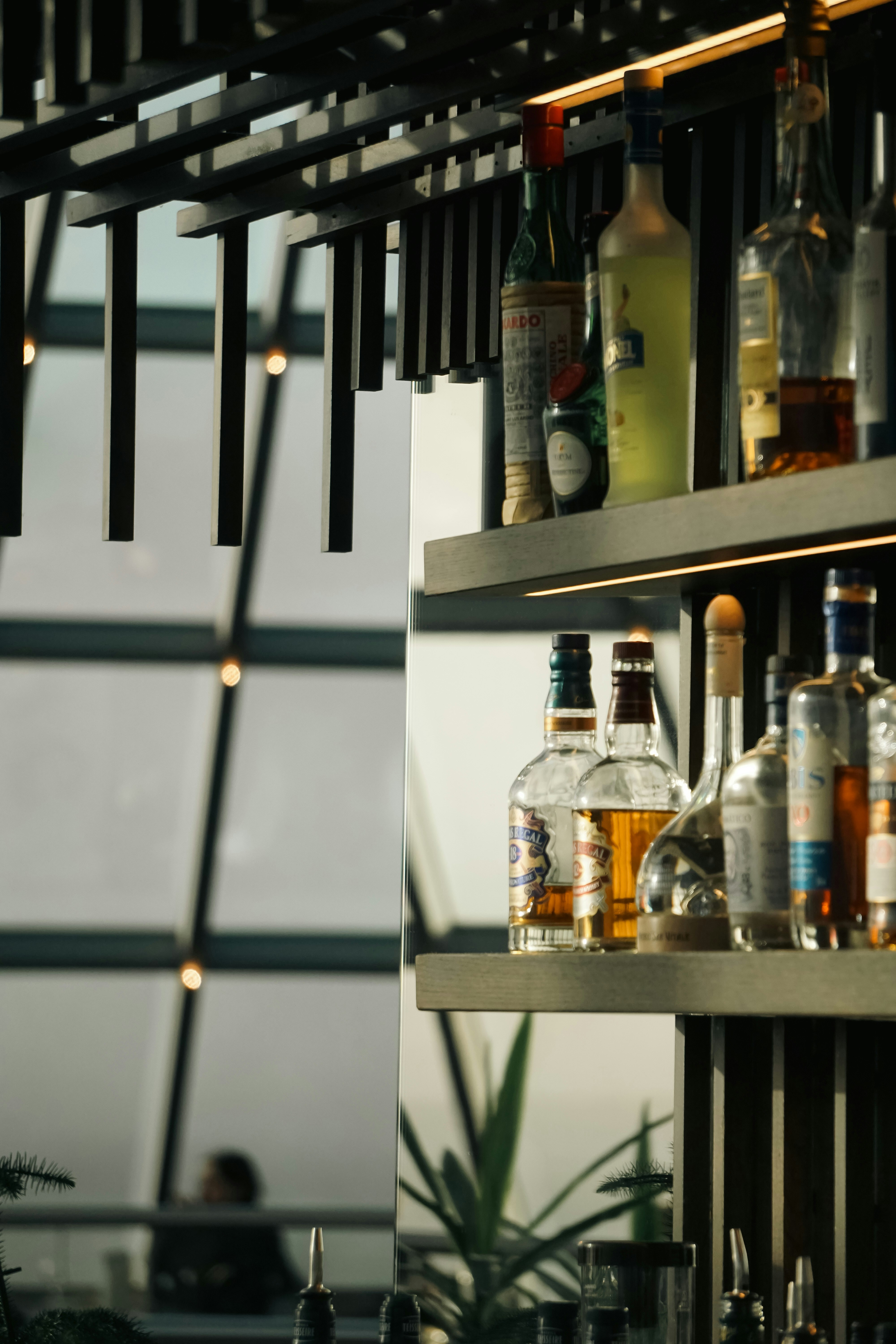 Bar shelves with spirits in a Reykjavík bar