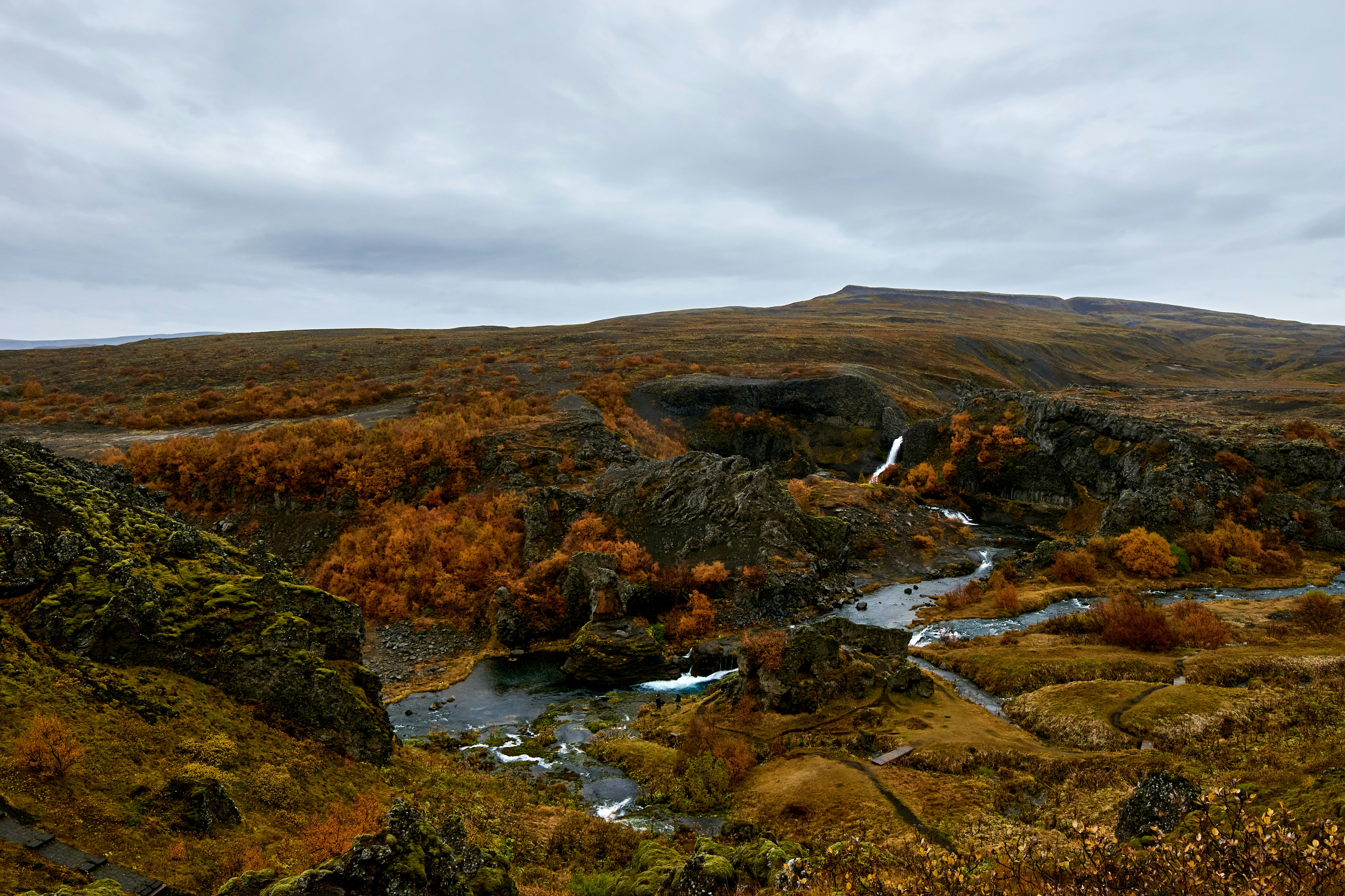 An Icelandic highland stream winding through autumn-coloured moss and shrubs under a moody grey sky